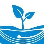 Environmental Solutions