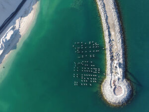 ROYAL ISLAND - DUBAI